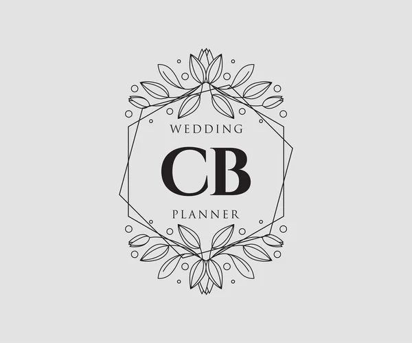 Initialen Brief Hochzeit Monogramm Logos Sammlung Handgezeichnete Moderne Minimalistische Und — Stockvektor