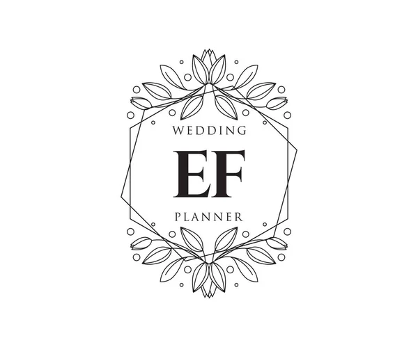 Initialen Brief Hochzeit Monogramm Logos Sammlung Handgezeichnete Moderne Minimalistische Und — Stockvektor