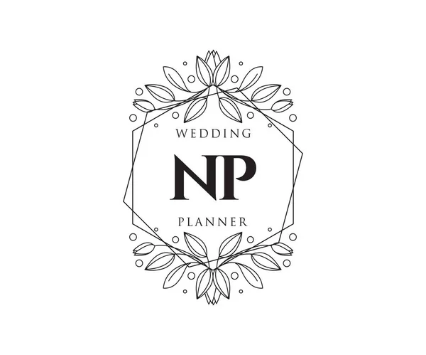 Initialen Brief Hochzeit Monogramm Logos Sammlung Handgezeichnete Moderne Minimalistische Und — Stockvektor