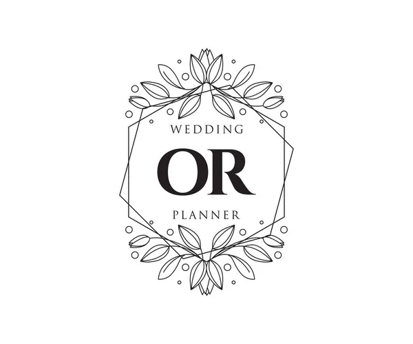 Initialen Brief Hochzeit Monogramm Logos Sammlung Handgezeichnete Moderne Minimalistische Und — Stockvektor