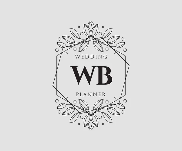 Initialen Brief Hochzeit Monogramm Logos Sammlung Handgezeichnete Moderne Minimalistische Und — Stockvektor