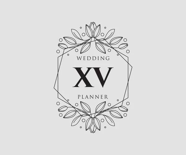 Carta Inicial Boda Colección Logotipos Monograma Dibujado Mano Modernas Plantillas — Archivo Imágenes Vectoriales