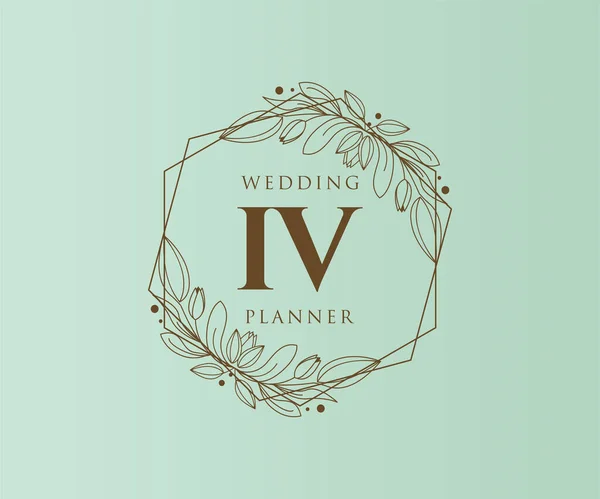 Lettere Iniziali Collezione Loghi Monogram Wedding Disegnati Mano Modelli Moderni — Vettoriale Stock