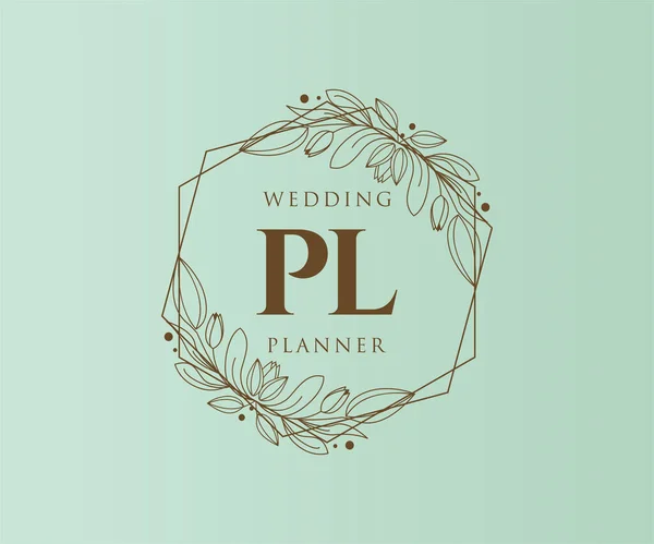 Carta Inicial Boda Colección Logotipos Monograma Dibujado Mano Plantillas Minimalistas — Vector de stock