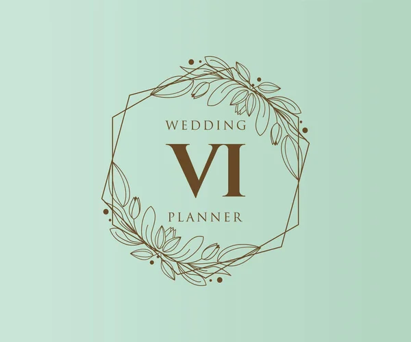 Initialen Brief Hochzeit Monogramm Logos Sammlung Handgezeichnete Moderne Minimalistische Und — Stockvektor