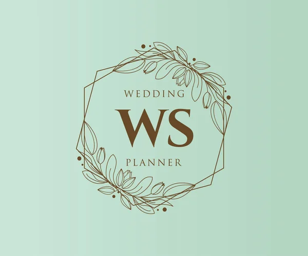 Initialen Brief Hochzeit Monogramm Logos Sammlung Handgezeichnete Moderne Minimalistische Und — Stockvektor