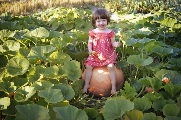 Girl sitting on a pumpkin — Stock Photo, Image