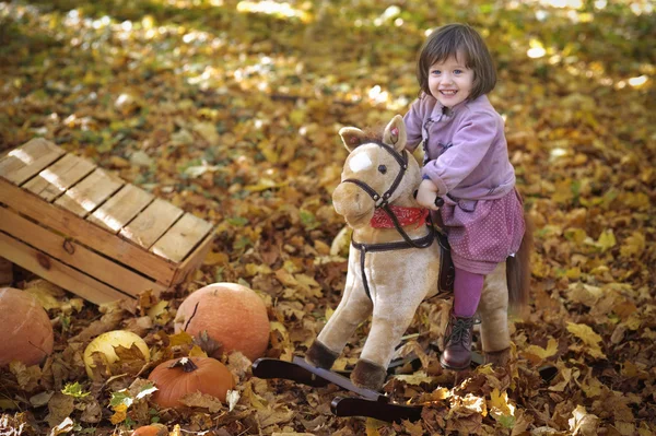 Girl on the little horsey in autumn scenery — Stock Photo, Image