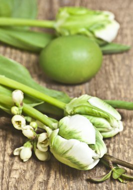 Paskalya, yumurta, yumurta, Beyaz Lale dal ağaç, guail yumurta beyaz küçük çiçekler