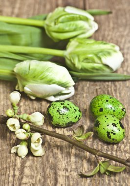 Paskalya, yumurta, yumurta, Beyaz Lale dal ağaç, guail yumurta beyaz küçük çiçekler