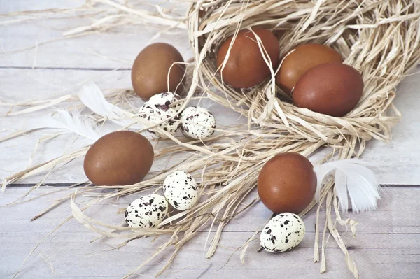 棕色鸡蛋和地板白色天然稻草的几内亚鸡蛋和白色的羽毛 — 图库照片