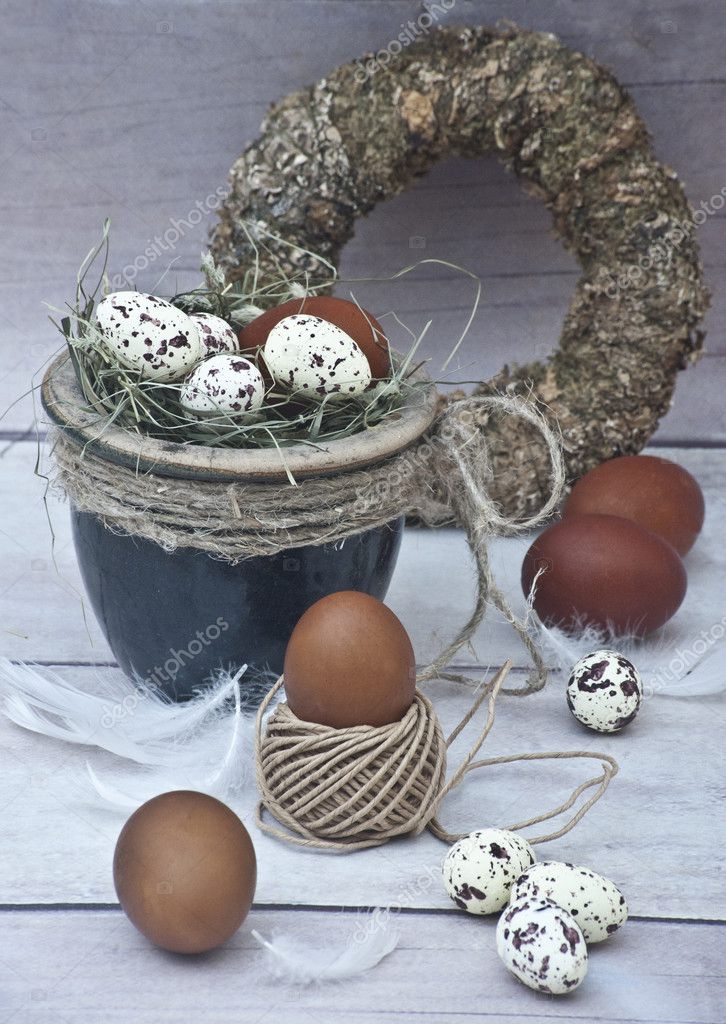 ブラウンとホロホロ鶏鍋と茶色とホロホロ鳥卵の産卵床の上 ストック写真 C Urbanska17