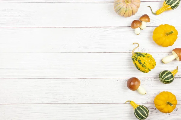 Осень Лежала Белом Деревянном Фоне Разноцветными Кукурузниками Грибами Осенний Макет — стоковое фото