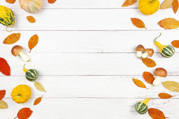 Осень Лежала Белом Деревянном Фоне Разноцветными Кустарниками Грибами Опавшими Листьями — стоковое фото