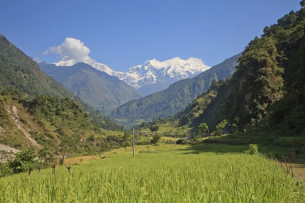 Himalaia montanhas no Nepal . — Fotografia de Stock