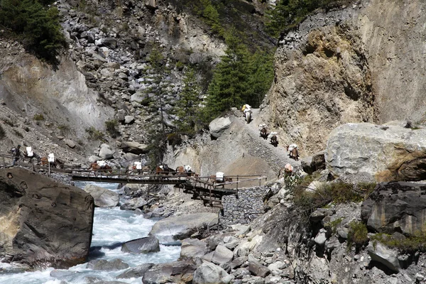 Himalaya bergen i nepal. — Stockfoto