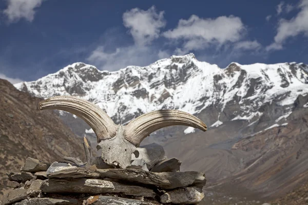 Montañas del Himalaya en Nepal . —  Fotos de Stock