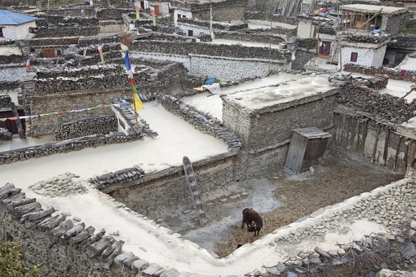 Mountain village marpha i Himalaya, nepal. — Stockfoto