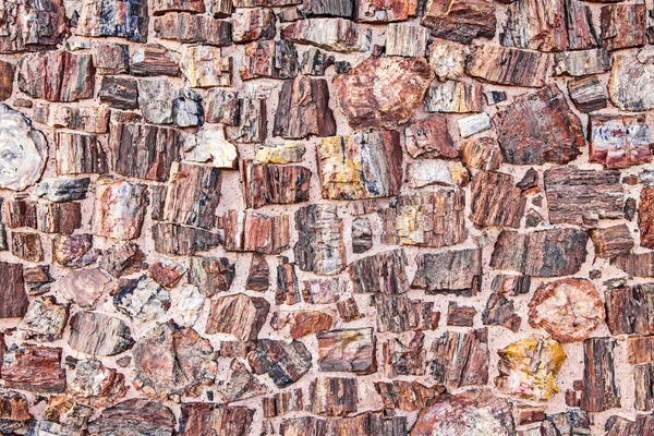 Petrified Tree Texture looking like stones. — Stock Photo, Image