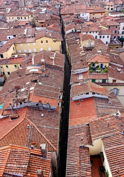 Dächer von siena, italien — Stockfoto