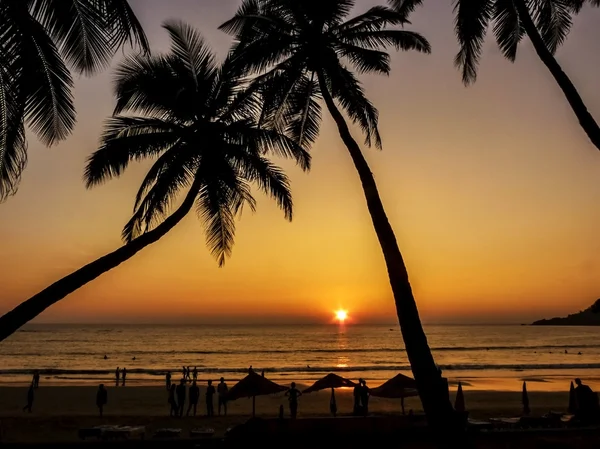 Palmen Silhouetten gegen Sonne. — Stockfoto