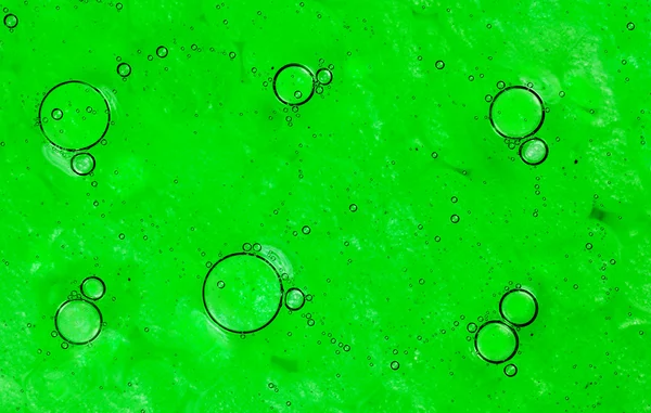 Bubbles on green background. Stock Image