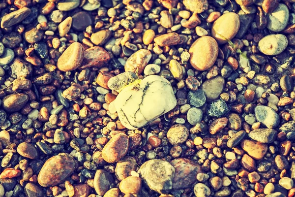 Рокки, каменистый текстурный фон, ретро-винтажный эффект . — стоковое фото