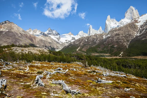 Fitz roy pohoří and v Patagonii, argentina — Stock fotografie