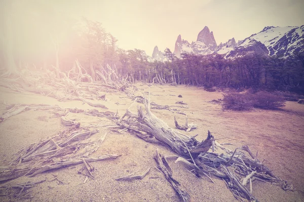 Vintage berg bakgrund med fitz roy utbud, argentina — Stockfoto