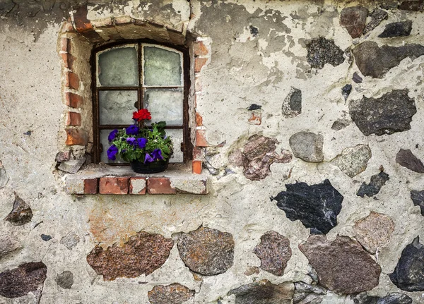 Blumen am Fenster der alten Steinmauer. — Stockfoto