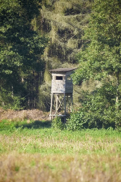 Deer Hunting Tower Forest Selective Focus — Stock Photo, Image