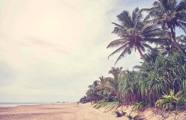 Τροπική Παραλία Έγχρωμη Τονισμένη Εικόνα Σρι Λάνκα — Φωτογραφία Αρχείου