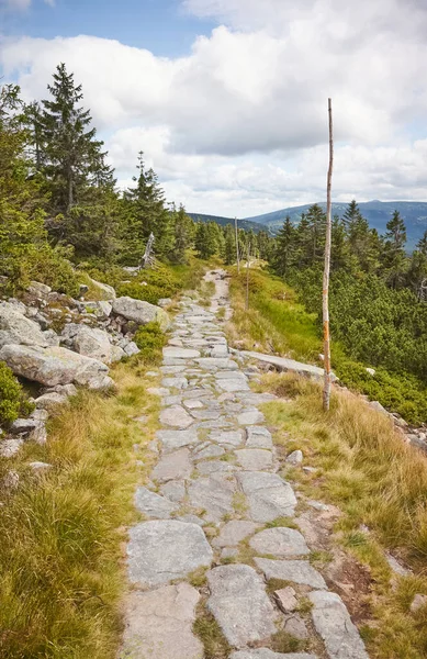 Wanderweg Riesengebirge Tschechische Republik — Stockfoto