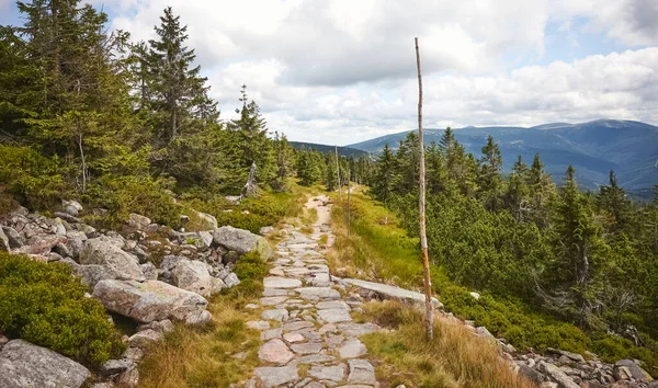 Wanderweg Riesengebirge Tschechische Republik — Stockfoto