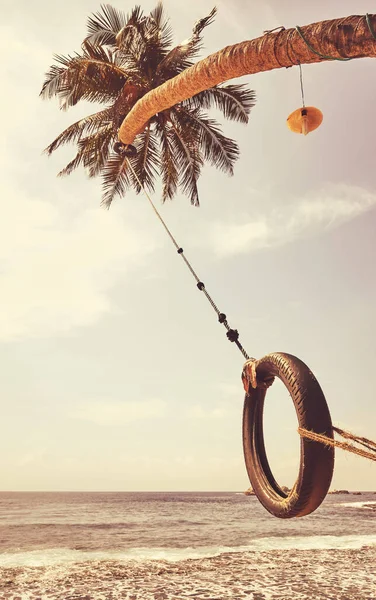 Palm Tree Ocean View Tire Swing Color Toning Applied — Stock Photo, Image