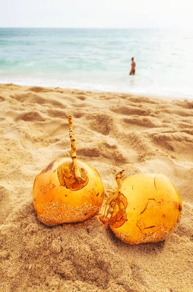 Καρύδες Μια Τροπική Παραλία Επιλεκτική Εστίαση — Φωτογραφία Αρχείου