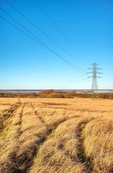 Landskap Med Högspänningstorn Ett Fält — Stockfoto