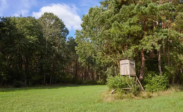 Wooden deer hunting blind stand on a forest edge.