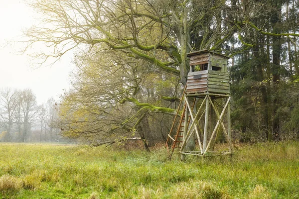Dřevěný Jelen Lovecká Věž Divokých Prasat Lese — Stock fotografie