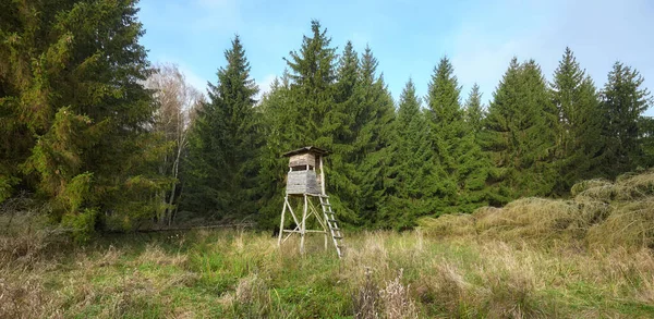 Panoramautsikt Över Skog Med Trärådjur Och Vildsvinsjaktstorn — Stockfoto