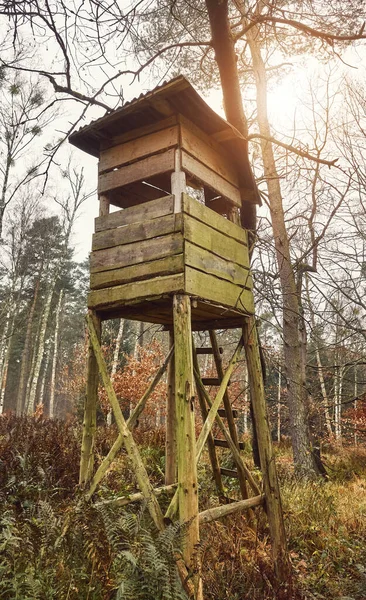 Picture of a hunting blind in a forest.