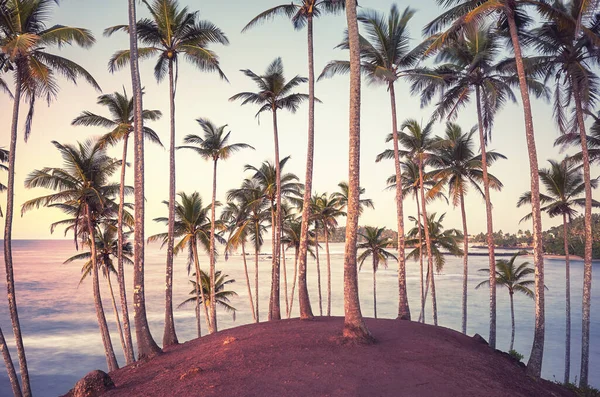 Τροπικό Νησί Φοίνικες Καρύδας Κατά Την Ανατολή Του Ηλίου Μεγάλη — Φωτογραφία Αρχείου
