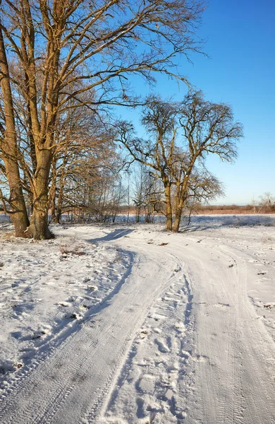 Bela Paisagem Rural Inverno Com Estrada Rural Coberta Neve Dia — Fotografia de Stock