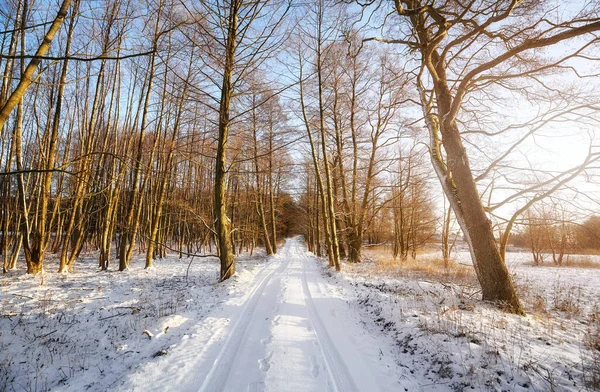 Piękny Zimowy Krajobraz Kraju Drogą — Zdjęcie stockowe