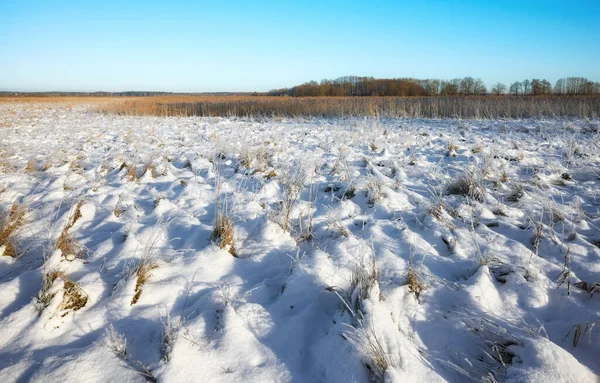 Łąka Pokryta Śniegiem Krajobraz Zimowy — Zdjęcie stockowe