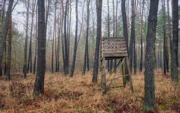 森の中の狩猟用説教壇 — ストック写真