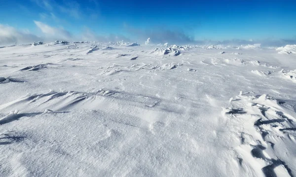 극지방 — 스톡 사진