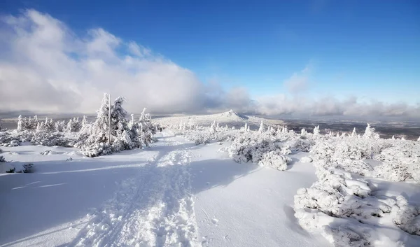 Karkonosze Ulusal Parkı Polonya Karla Kaplı Ağaçlarla Kaplı Güzel Kış — Stok fotoğraf