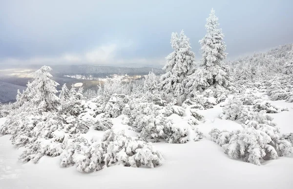 Krásná Zimní Horská Krajina Národní Park Karkonosze Polsko — Stock fotografie