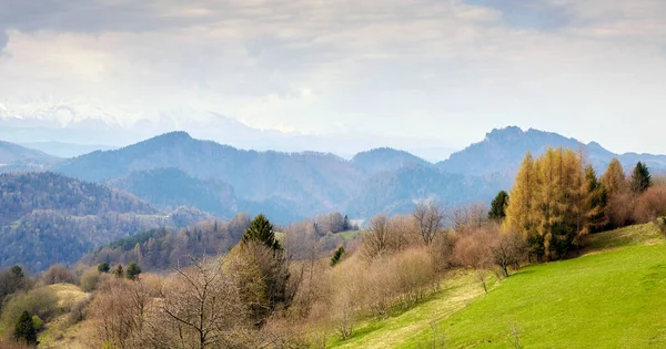 Pieniny Mountains Landscape Mountain Range Border Poland Slovakia Poland — Fotografia de Stock